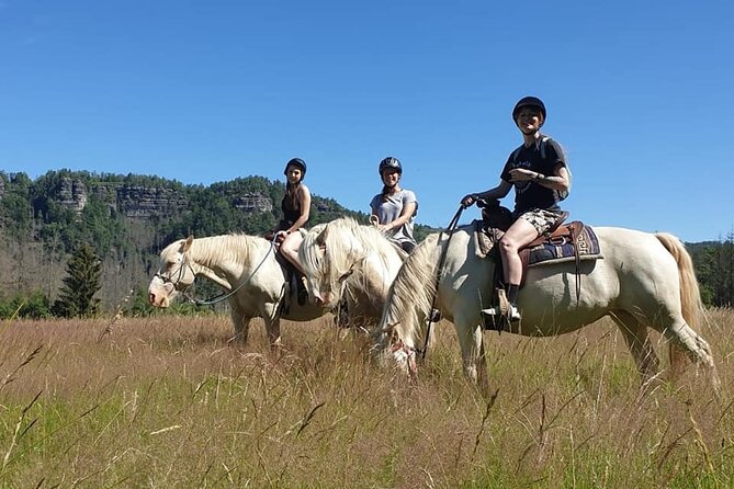 Horseback Riding Tour in Bohemian Switzerland - Weather, cancellations, and practical limits