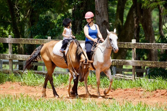 Horseback Riding Tour in Bohemian Switzerland - Who should book this experience?