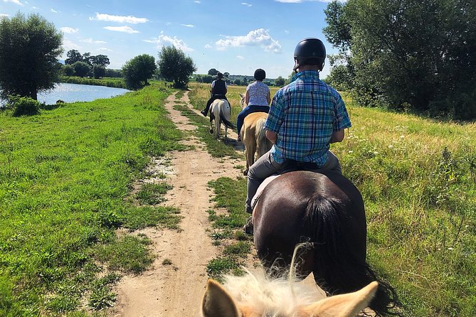 Horseback Riding Tour In Brasov - Ride Through Fields, Forests & Hills - Leaving Brasov at 9:00 a.m.