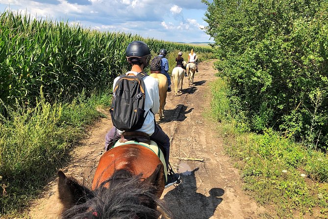 Horseback Riding Tour In Brasov - Ride Through Fields, Forests & Hills - What One Hour in the Saddle Really Means