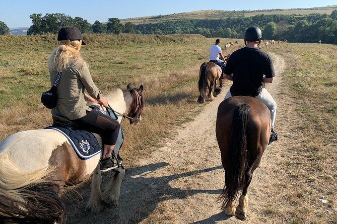 Horseback Riding Tour In Brasov - Ride Through Fields, Forests & Hills - Meeting Friesian and Andalusian Horses
