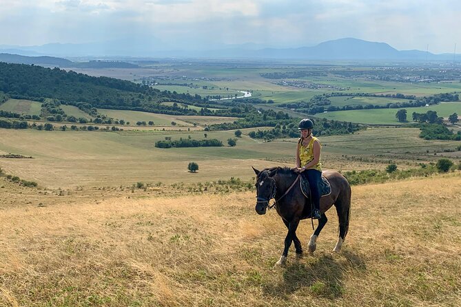 Horseback Riding Tour In Brasov - Ride Through Fields, Forests & Hills - Who Will Enjoy This Brasov Horseback Ride?