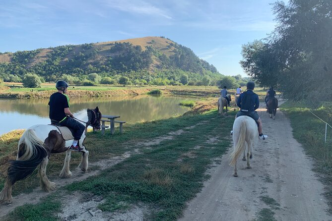 Horseback Riding Tour In Brasov - Ride Through Fields, Forests & Hills - Choosing a Horse at the Local Ranch