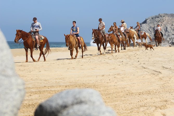 Horseback Riding Tour in Cabo San Lucas - Key points before you book