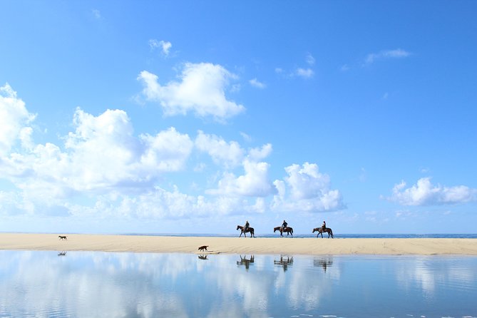 Horseback Riding Tour in Cabo San Lucas - From Cabo hotels to a traditional Baja ranch