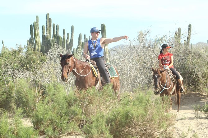 Horseback Riding Tour in Cabo San Lucas - Safety deserves a careful look