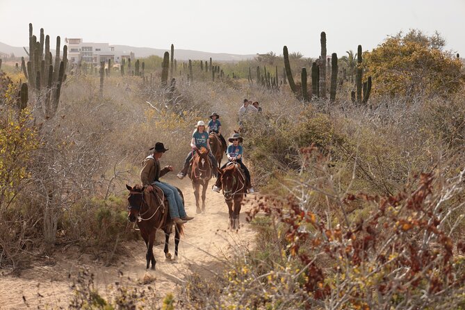 Horseback Riding Tour in Cabo San Lucas - What the price really includes