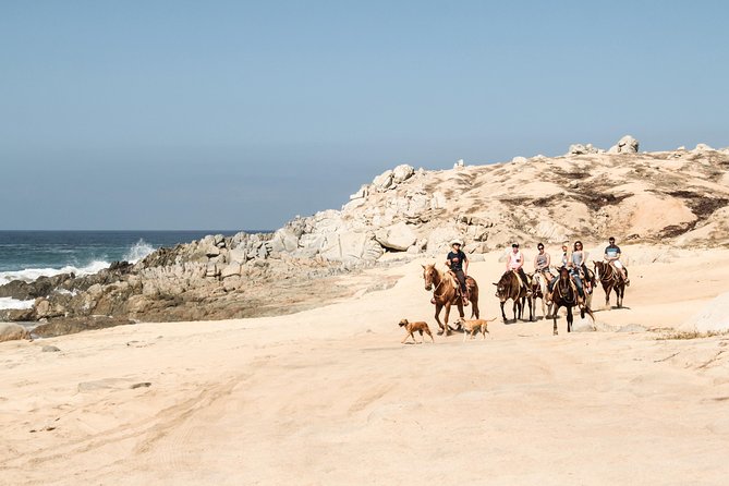 Horseback Riding Tour in Cabo San Lucas - Who should book Rancho Carisuva?