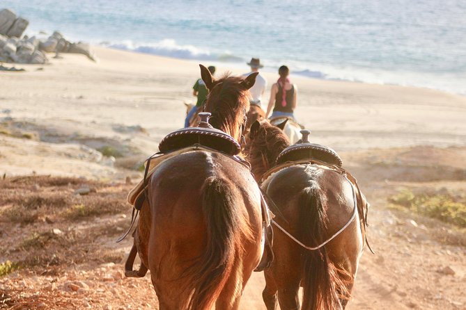 Horseback Riding Tour in Cabo San Lucas - Getting comfortable in the saddle