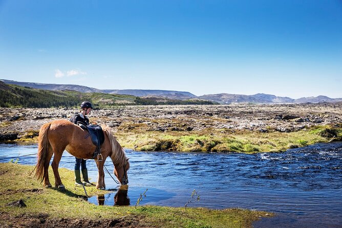 Horseback Riding Tour in Iceland - Key points at a glance