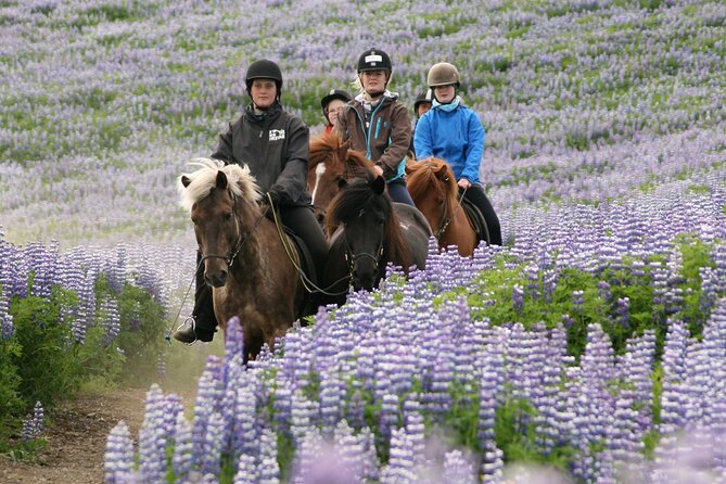 Horseback Riding Tour in Iceland - Riding across moss-covered lava fields