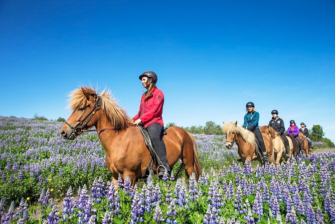 Horseback Riding Tour in Iceland - The guide makes the difference