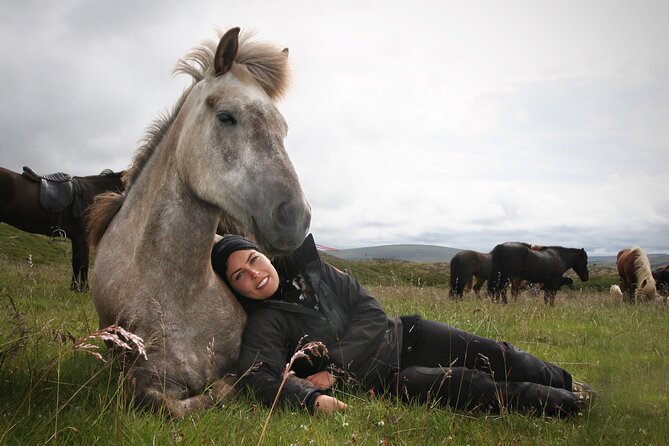 Horseback Riding Tour in Iceland - Is $135.16 good value for 50 minutes?