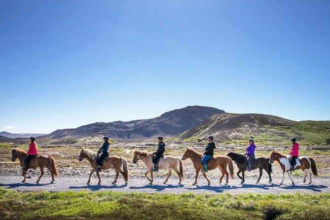 Horseback Riding Tour in Iceland - Learning the Icelandic horse before the ride