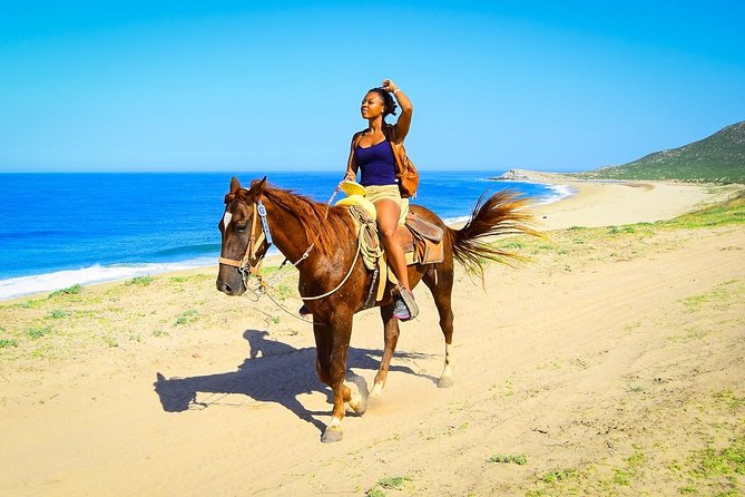 Horseback Riding Tour in Los Cabos - From Cabo hotels to a Baja ranch