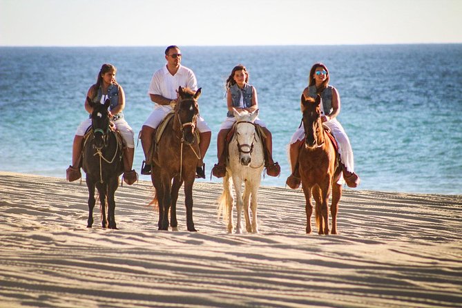 Horseback Riding Tour in Los Cabos - The first ride: cacti, dry trails, and open Baja air