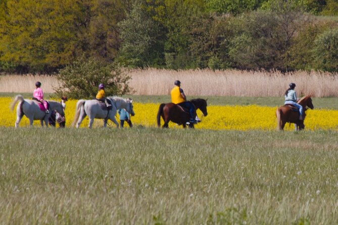 horseback riding tour in Prague - Getting from central Prague to Mníšek pod Brdy