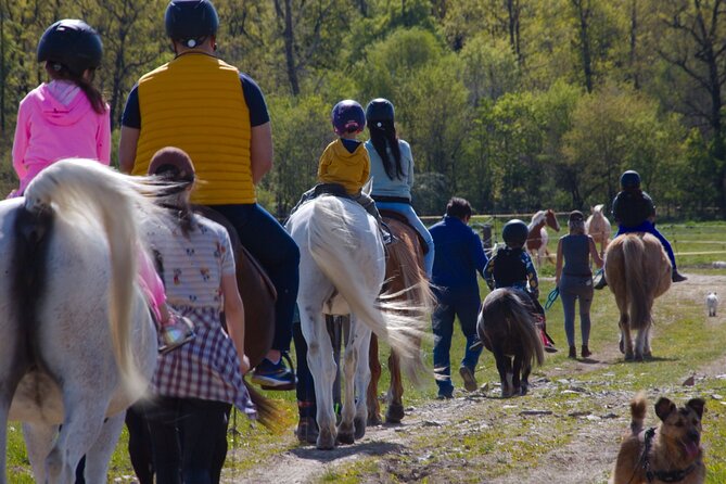 horseback riding tour in Prague - Summer swimming with the horses