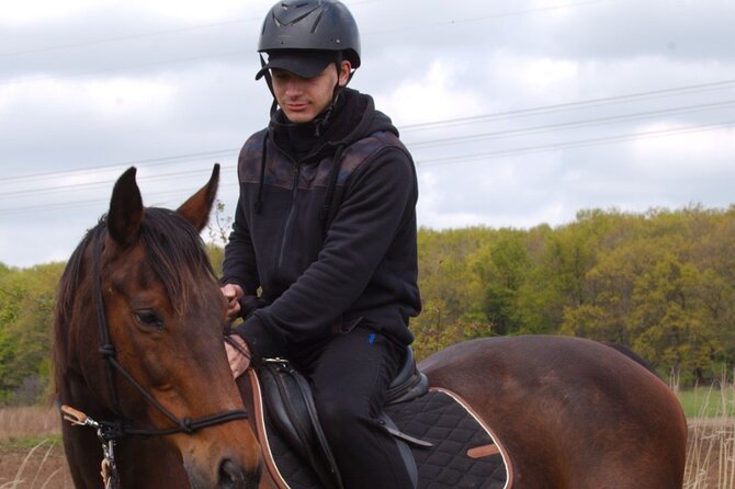 horseback riding tour in Prague - Meeting the horses before the saddle