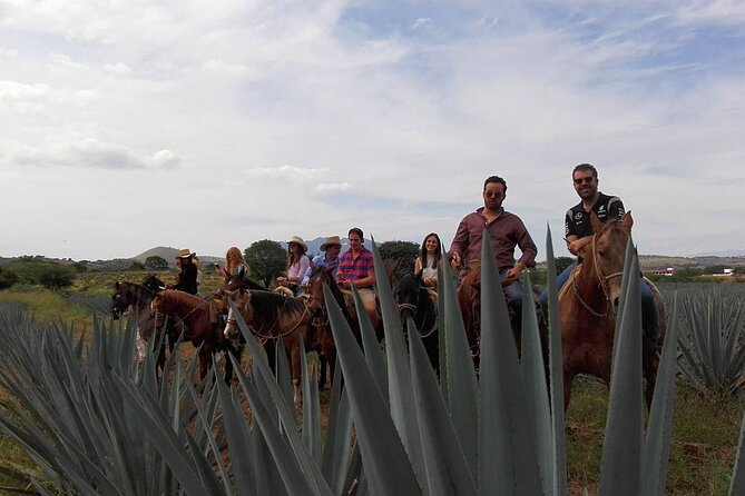 Horseback Riding Tour in The Agave Field with Lunch - Why the agave country near Tequila matters