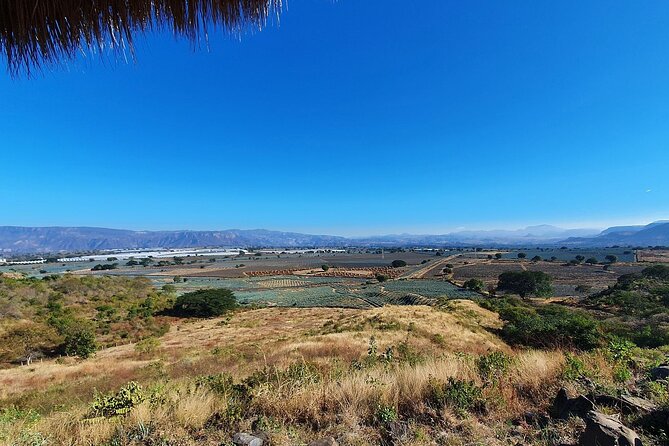 Horseback Riding Tour in The Agave Field with Lunch - Who will get the most from this tour?
