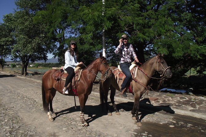 Horseback Riding Tour in The Agave Field with Lunch - Horseback riding through Amatitan’s agave fields
