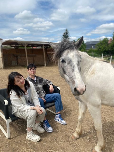 Horseback riding tour near Prague - Why this ride feels different from a standard horse tour
