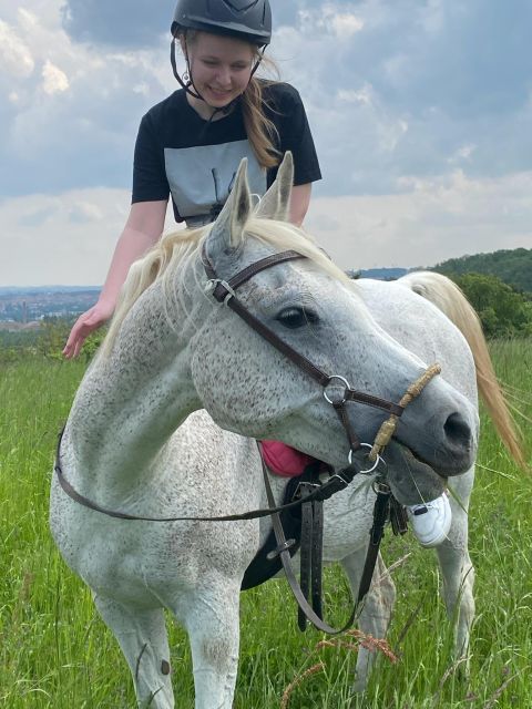 Horseback riding tour near Prague - The 50 to 75 minute ride through Mnisek pod Brdy