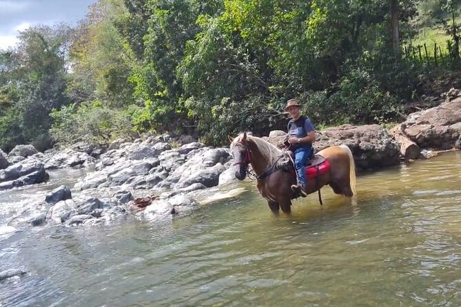 Horseback Riding tour near Santo Domingo with pick up and dropoff - Leaving Santo Domingo for Higuero