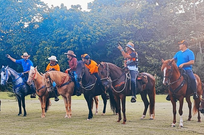 Horseback Riding tour near Santo Domingo with pick up and dropoff - A private ride for a mixed-ability group