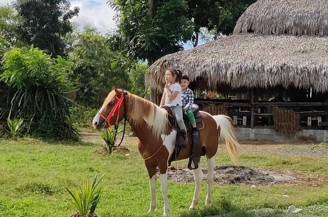 Horseback Riding tour near Santo Domingo with pick up and dropoff - Is $95 a fair price?