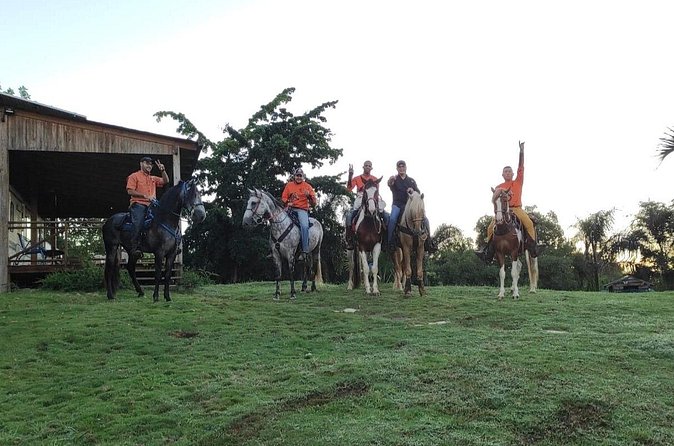 Horseback Riding tour near Santo Domingo with pick up and dropoff - Timing, weather, and the practical fine print