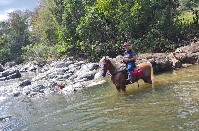 Horseback Riding tour near Santo Domingo with pick up and dropoff - Who will enjoy this experience most