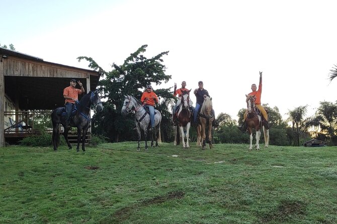 Horseback Riding tour near Santo Domingo with pick up and dropoff - Should you book the Higuero horseback ride?