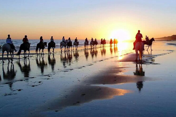 Horseback riding tour of Doñana and visit of El Rocio - Three natural settings inside Doñana