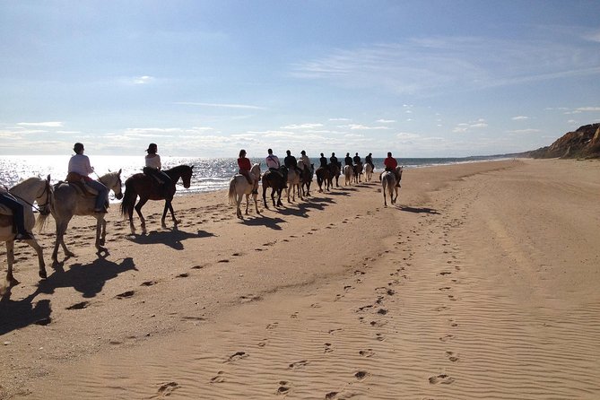 Horseback riding tour of Doñana and visit of El Rocio - El Rocío and the Santuario de Nuestra Señora del Rocío