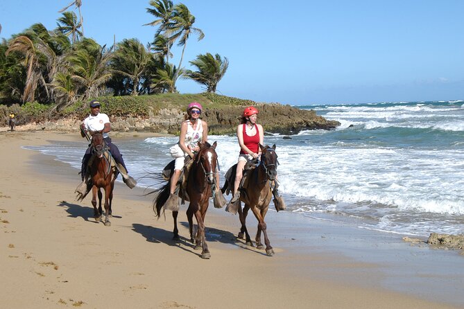 Horseback Riding Tour on the Beaches of Punta Cana - A sunset ride with a slower rhythm