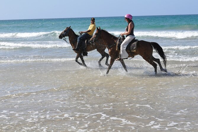 Horseback Riding Tour on the Beaches of Punta Cana - Is $54 a fair price?