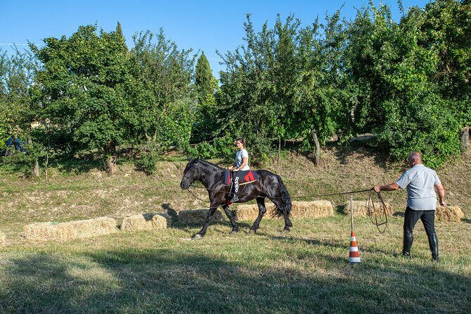 Horseback Riding Tour with Tuscan Picnic in Val d'Orcia and Valdichiana - Why this Montepulciano ride feels different