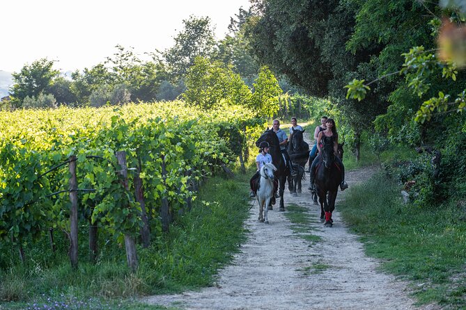 Horseback Riding Tour with Tuscan Picnic in Val d'Orcia and Valdichiana - Getting comfortable with the horses