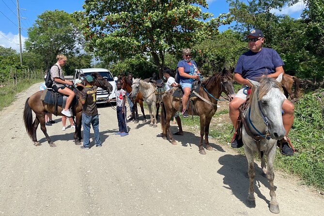 Horseback riding tours from amber cove & Taino bay port silver - Riding Along the Beach and Through the Field