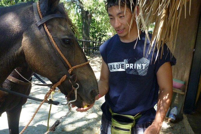 Horseback riding tours from amber cove & Taino bay port silver - How the $95 Price Measures Up