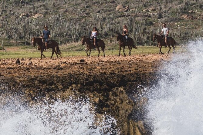 Horseback Riding Wariruri Beach Tour in Aruba - Why the small group matters