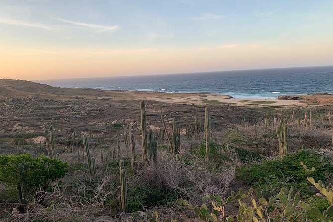 Horseback Riding Wariruri Beach Tour in Aruba - Pickup, timing, and the real value at $98.60