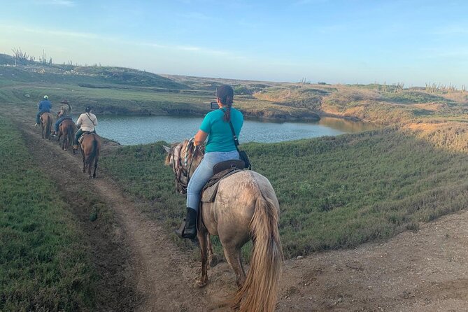 Horseback Riding Wariruri Beach Tour in Aruba - Photos, memories, and guide interaction
