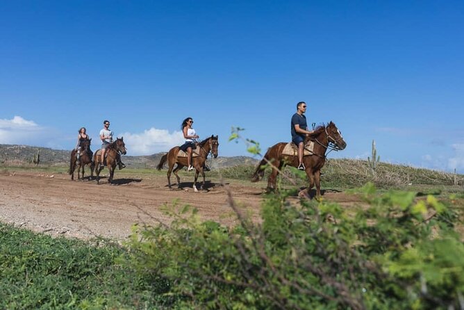 Horseback Riding Wariruri Beach Tour in Aruba - Should you book the Wariruri Beach ride?