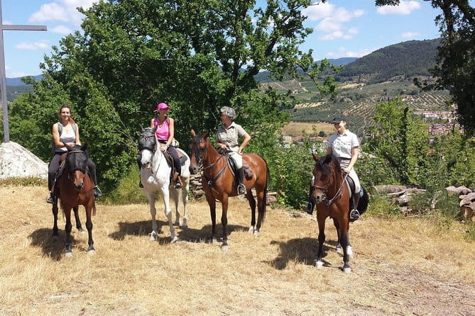 Horseback riding & Wine Tasting and snack Lunch at noble Estate - Leaving Florence for the Chianti hills