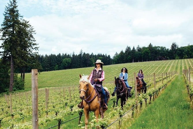 Horseback riding & Wine Tasting and snack Lunch at noble Estate - Is $356.01 per person a fair price?