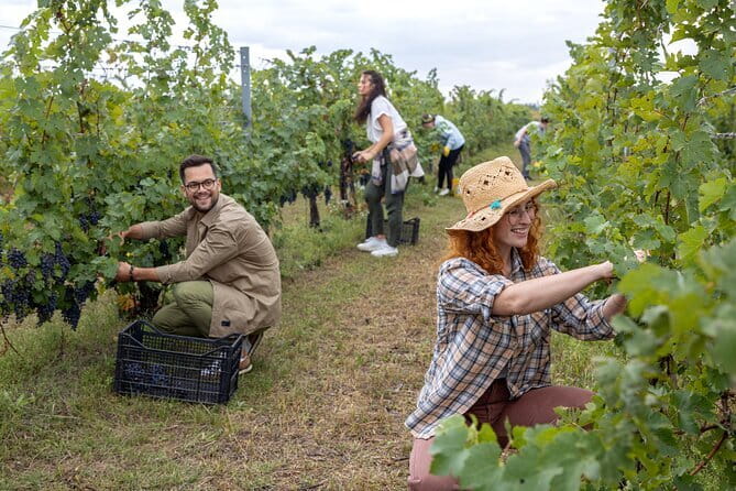 Horseback riding & Wine Tasting and snack Lunch at noble Estate - Who will enjoy this most?