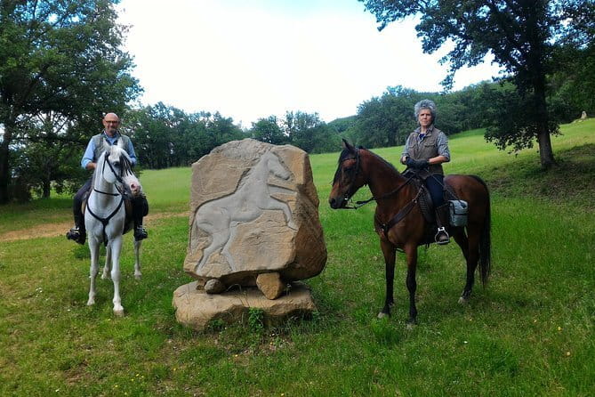 Horseback riding & Wine Tasting and snack Lunch at noble Estate - One hour through vineyards and olive groves